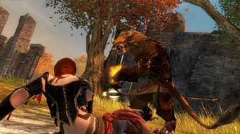 Guild Wars 2 (image 4)