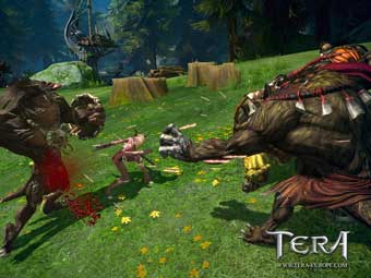 TERA Online (image 8)