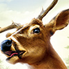 Mastiff Ships 'Deer Drive' - First Hunting Title for Nintendo DS