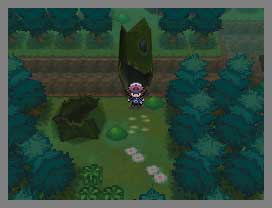 Pokémon :  Version Noire et Blanche (image 6)