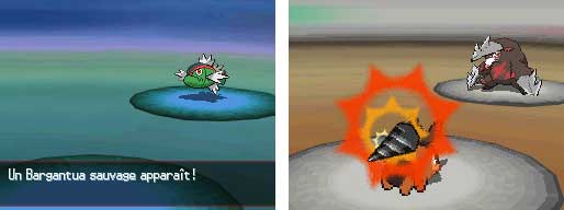 Pokémon Version Noire et Pokémon Version Blanche (image 4)