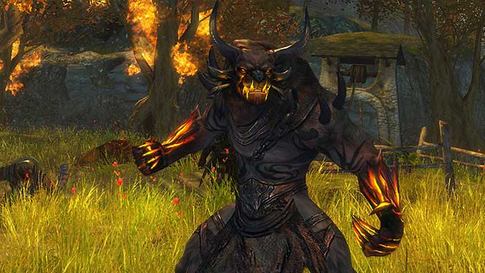 Guild Wars 2 (image 3)