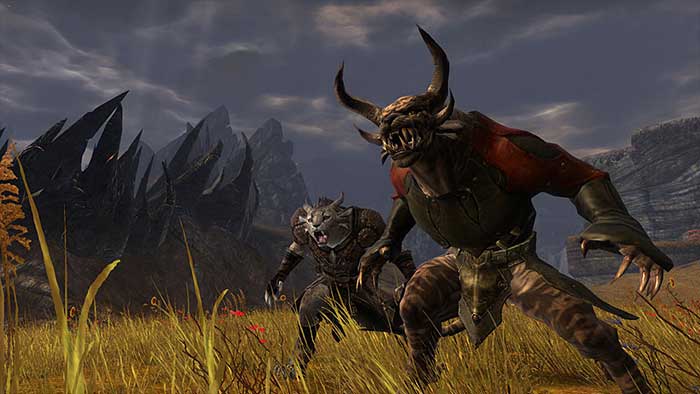 Guild Wars 2 (image 7)