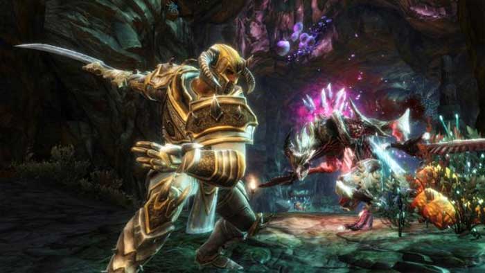 Kingdoms of Amalur : Reckoning (image 2)