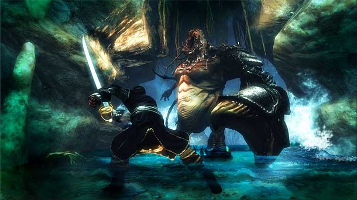 Risen 2 : Dark Waters (image 3)