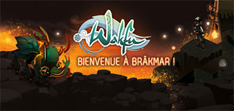 Wakfu