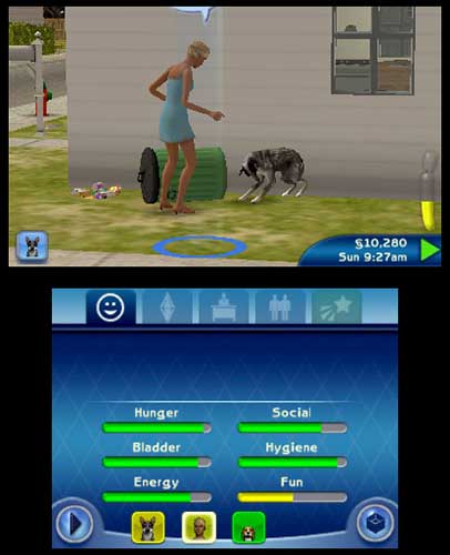 Les Sims 3 : Animaux et Cie (image 3)