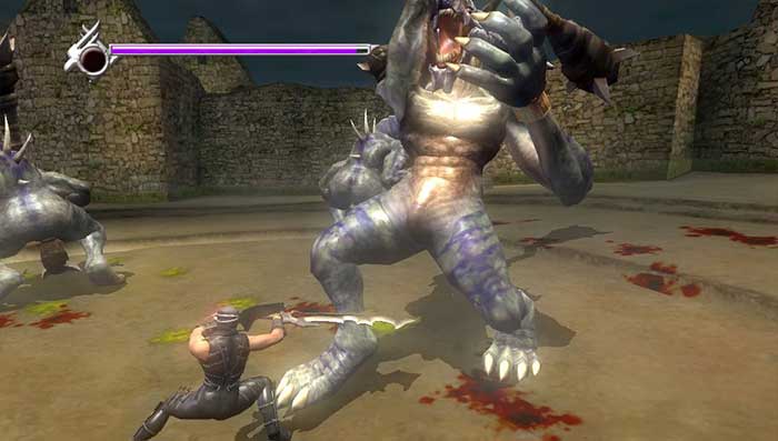 Ninja Gaiden Sigma Plus (image 7)