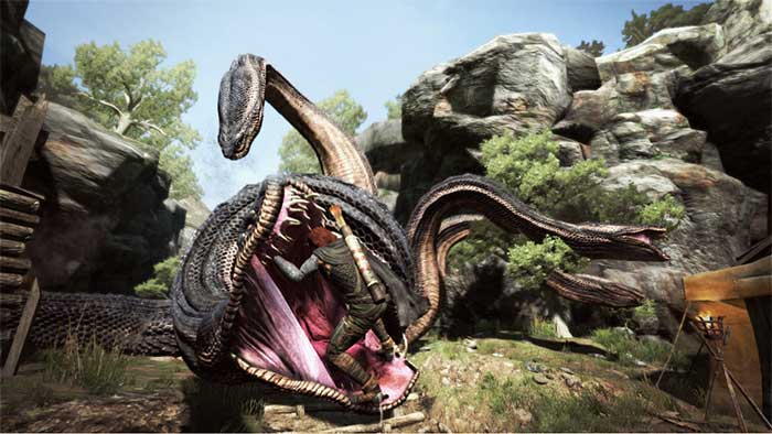 Dragon's Dogma (image 3)