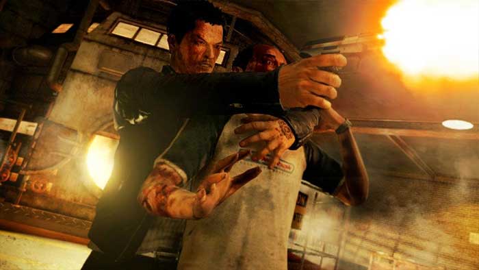 Sleeping Dogs (image 3)