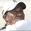 Logo Tiger Woods PGA Tour 13