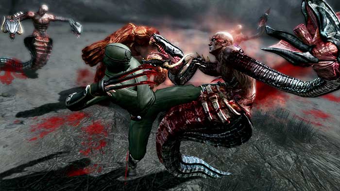 Ninja Gaiden 3 (image 5)