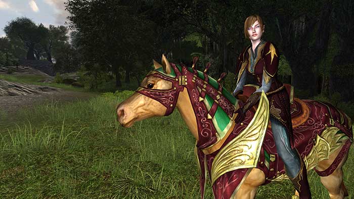 Le Seigneur des Anneaux Online : Les Cavaliers du Rohan (image 7)