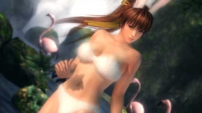 Dead or Alive 5 (image 4)