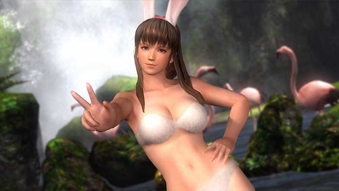 Dead or Alive 5 (image 3)