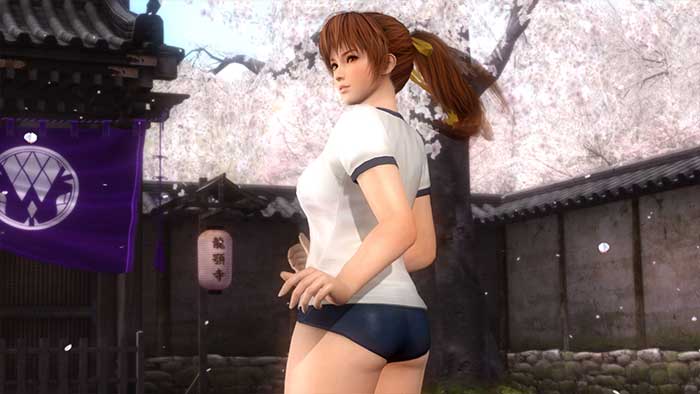 Dead or Alive 5 (image 6)