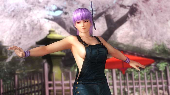 Dead or Alive 5 (image 3)