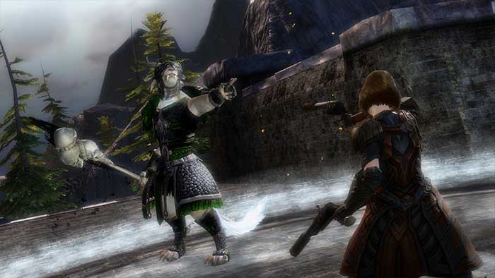 Guild Wars 2 (image 4)