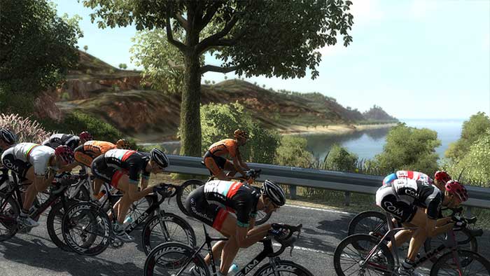 Pro Cycling Manager 2013 (image 4)