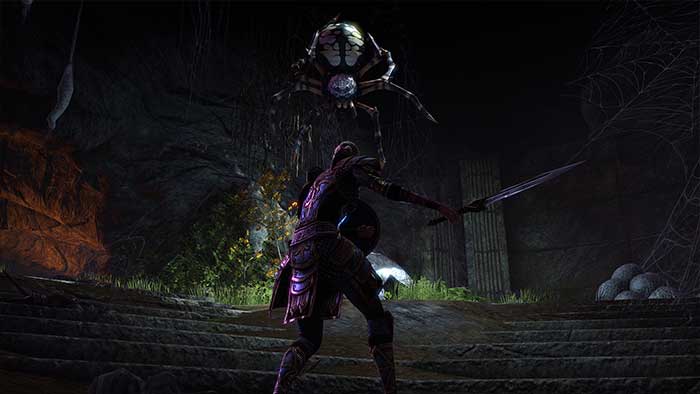 The Elder Scrolls Online (image 4)