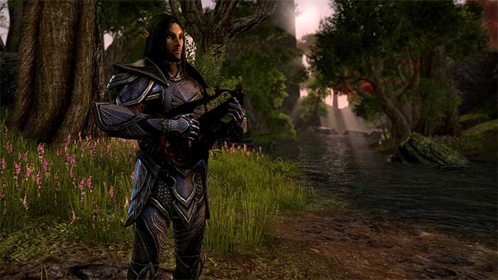 The Elder Scrolls Online (image 1)