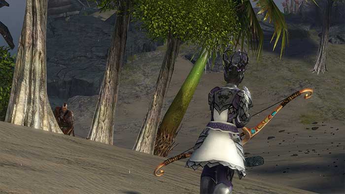 Guild Wars 2 (image 3)