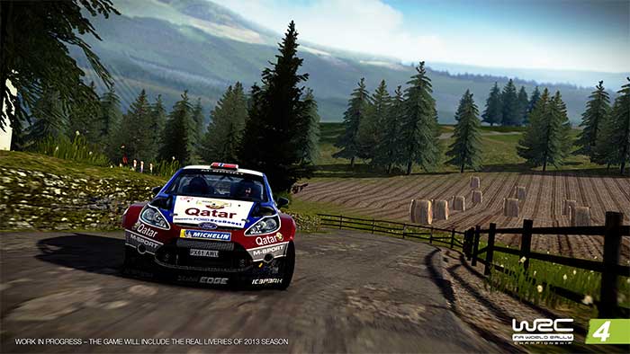 WRC 4 (image 5)