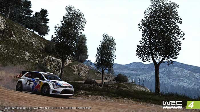 WRC 4 (image 5)