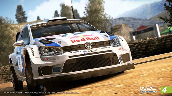 WRC 4 (image 2)