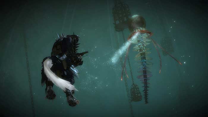 Guild Wars 2 : Fracture (image 4)