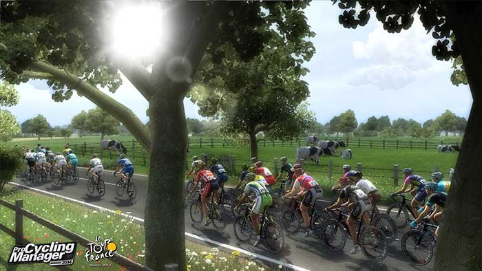 Pro Cycling Manager et Tour De France 2014 (image 1)