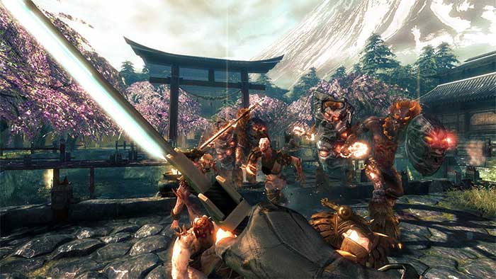 Shadow Warrior (image 1)