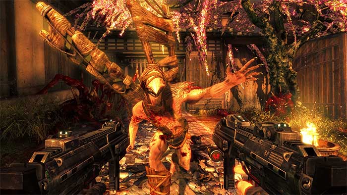 Shadow Warrior (image 4)