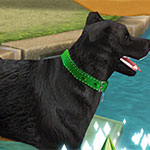 Logo Les Sims Freeplay