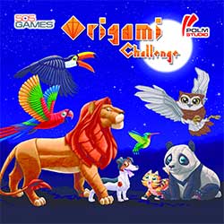 Origami Challenge