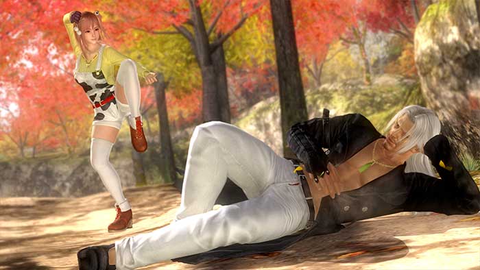 Dead or Alive 5 Last Round (image 5)