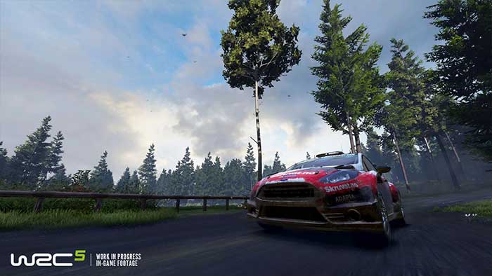 WRC 5 (image 6)