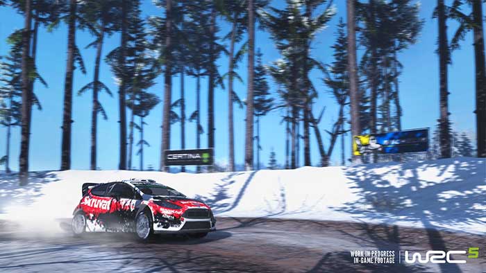 WRC 5 (image 3)