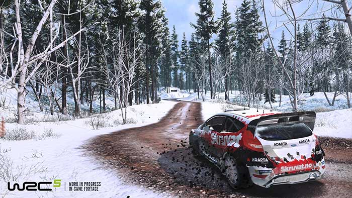 WRC 5 (image 2)