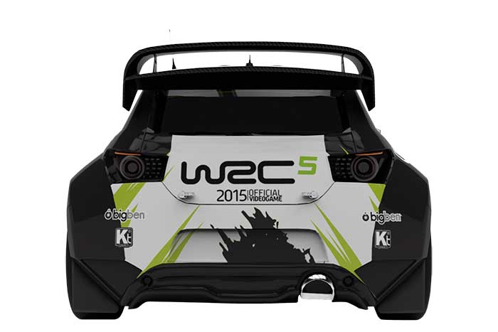 WRC 5 (image 5)