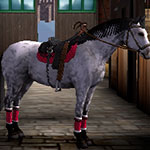 « Horse Life 4 » arrive le 13 novembre 2015 sur Nintendo 3DS