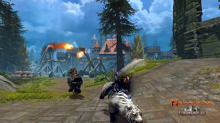 Neverwinter : Stronghold Siege (image 1)