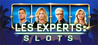 Les  Experts : Slots