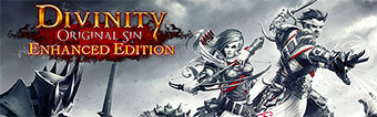 Divinity Original Sin Enhanced Edition