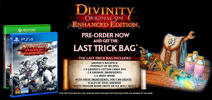 Divinity Original Sin Enhanced Edition (image 1)