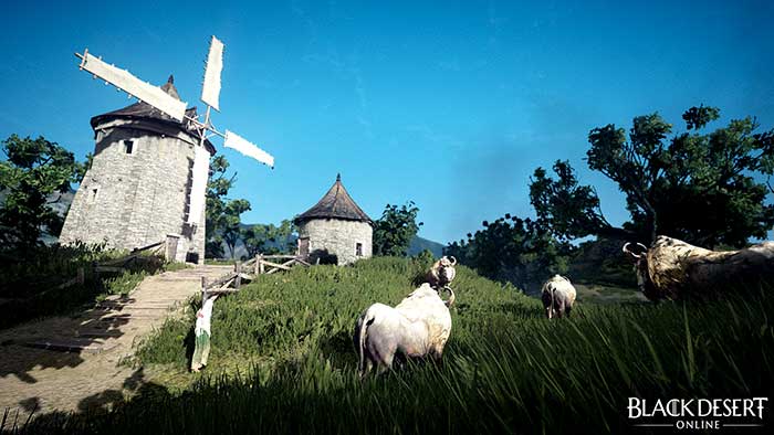 Black Desert Online (image 2)