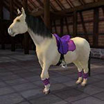 Bigben Interactive annonce la sortie de I Love My Pony sur Nintendo 3DS