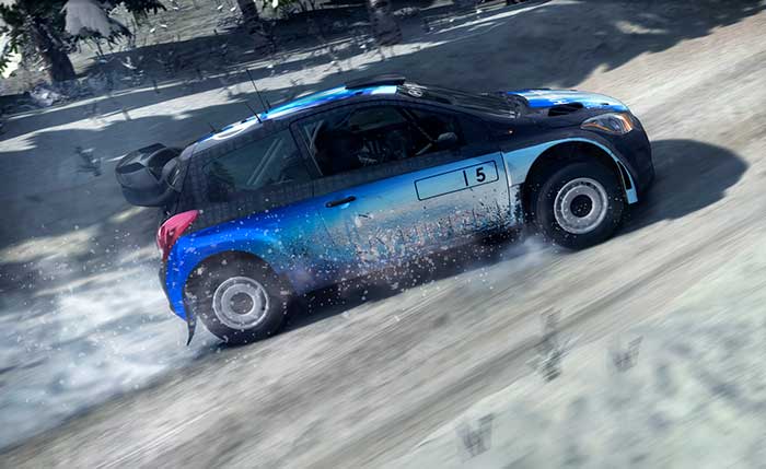 DiRT Rally (image 6)