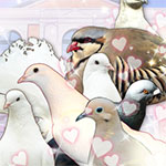 Logo Hatoful Boyfriend : Holiday Star