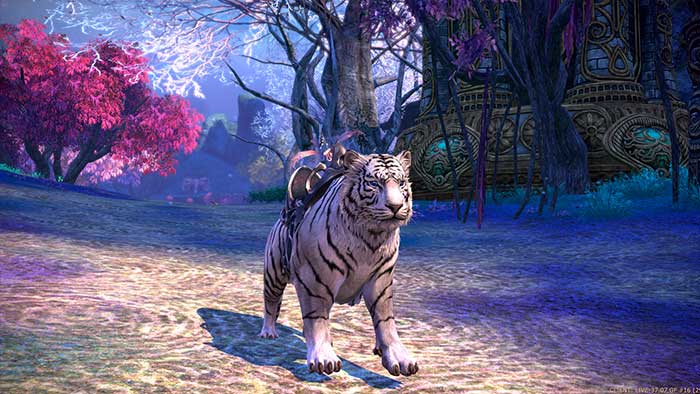 Tera : Fate of Arun (image 6)